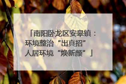 南阳卧龙区安皋镇：环境整治“出真招” 人居环境“焕新颜”