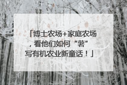 博士农场+家庭农场，看他们如何“薯” 写有机农业新童话！