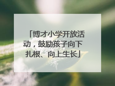 博才小学开放活动，鼓励孩子向下扎根、向上生长