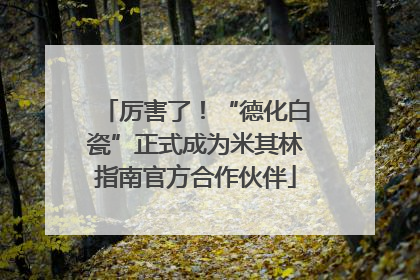 厉害了！“德化白瓷”正式成为米其林指南官方合作伙伴