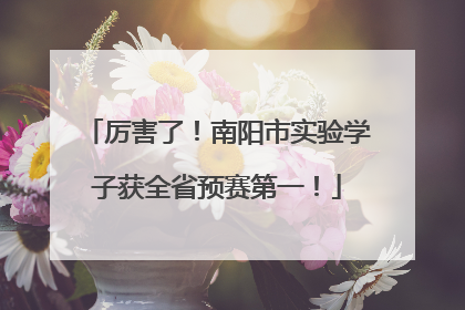 厉害了！南阳市实验学子获全省预赛第一！