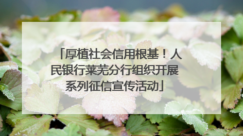 厚植社会信用根基！人民银行莱芜分行组织开展系列征信宣传活动