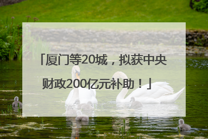 厦门等20城，拟获中央财政200亿元补助！
