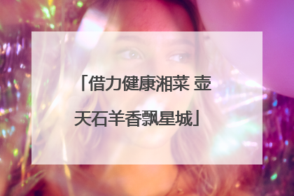 借力健康湘菜 壶天石羊香飘星城