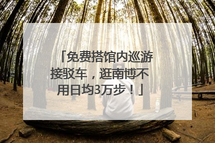 免费搭馆内巡游接驳车，逛南博不用日均3万步！