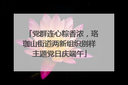 党群连心粽香浓，珞珈山街道两新组织别样主题党日庆端午