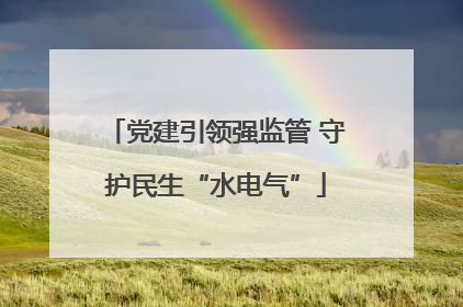 党建引领强监管 守护民生“水电气”