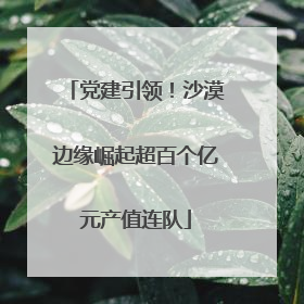 党建引领！沙漠边缘崛起超百个亿元产值连队