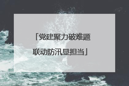 党建聚力破难题 联动防汛显担当