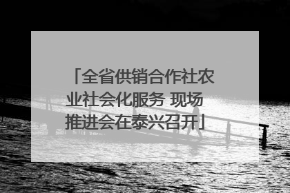 全省供销合作社农业社会化服务 现场推进会在泰兴召开