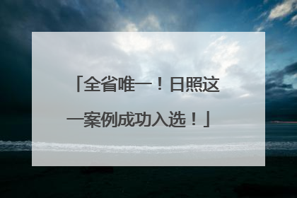 全省唯一！日照这一案例成功入选！