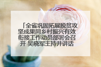 全省巩固拓展脱贫攻坚成果同乡村振兴有效衔接工作动员部署会召开 吴晓军主持并讲话 罗东川作安排部署