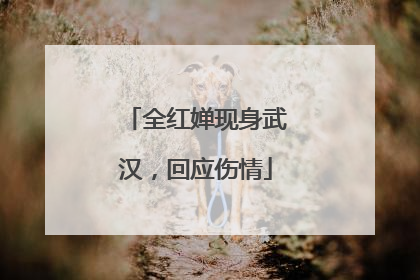 全红婵现身武汉，回应伤情