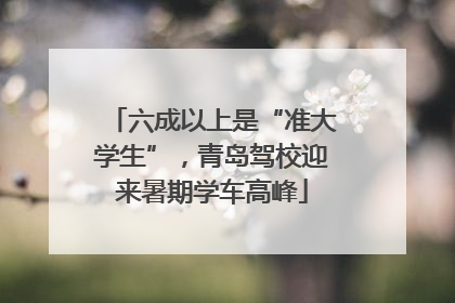 六成以上是“准大学生”，青岛驾校迎来暑期学车高峰