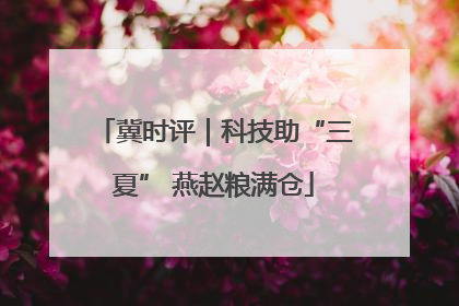冀时评｜科技助“三夏” 燕赵粮满仓