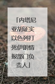 内塔尼亚胡证实以色列打死伊朗情报部门负责人