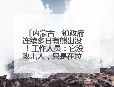 内蒙古一镇政府连续多日有熊出没！工作人员：它没攻击人，只是在垃圾桶翻找食物