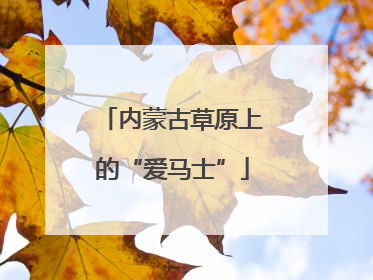 内蒙古草原上的“爱马士”