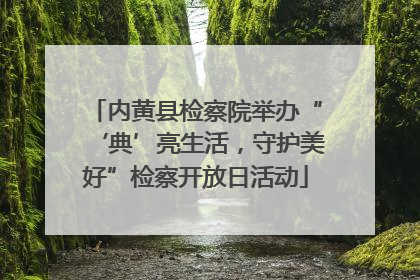 内黄县检察院举办“‘典’亮生活，守护美好”检察开放日活动