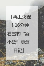 再上央视！16分钟看雪豹“凌小蛰”康复日记