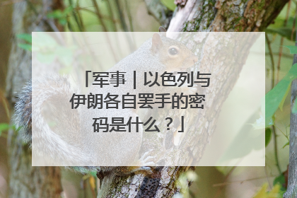 军事｜以色列与伊朗各自罢手的密码是什么？