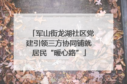 军山街龙湖社区党建引领三方协同铺就居民“暖心路”