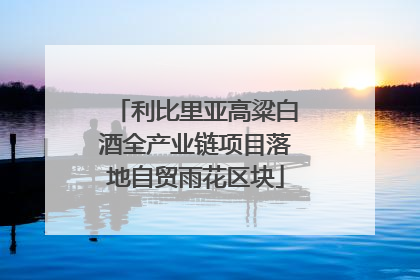 利比里亚高粱白酒全产业链项目落地自贸雨花区块