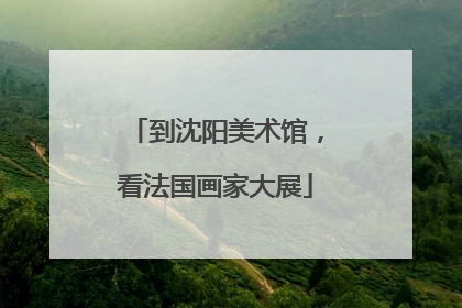 到沈阳美术馆，看法国画家大展