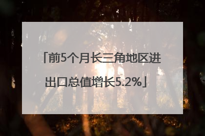 前5个月长三角地区进出口总值增长5.2%