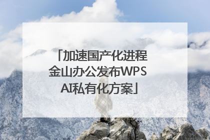 加速国产化进程 金山办公发布WPS AI私有化方案