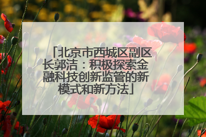 北京市西城区副区长郭洁：积极探索金融科技创新监管的新模式和新方法