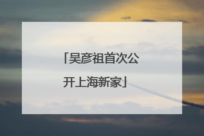 吴彦祖首次公开上海新家