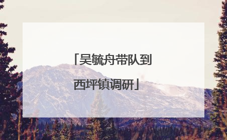 吴毓舟带队到西坪镇调研