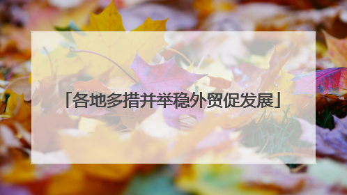 各地多措并举稳外贸促发展