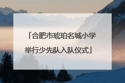 合肥市琥珀名城小学举行少先队入队仪式