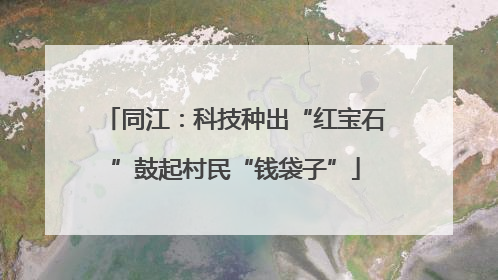 同江：科技种出“红宝石”鼓起村民“钱袋子”