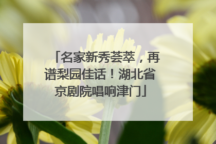 名家新秀荟萃，再谱梨园佳话！湖北省京剧院唱响津门