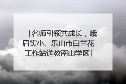 名师引领共成长，峨眉实小、乐山市白兰花工作站送教南山学区