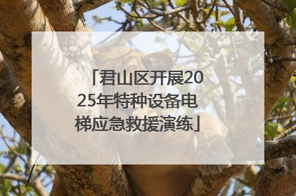 君山区开展2025年特种设备电梯应急救援演练