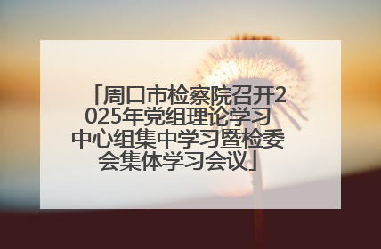 周口市检察院召开2025年党组理论学习中心组集中学习暨检委会集体学习会议
