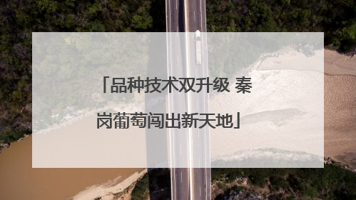 品种技术双升级 秦岗葡萄闯出新天地