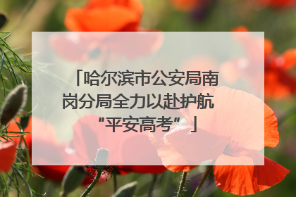 哈尔滨市公安局南岗分局全力以赴护航“平安高考”