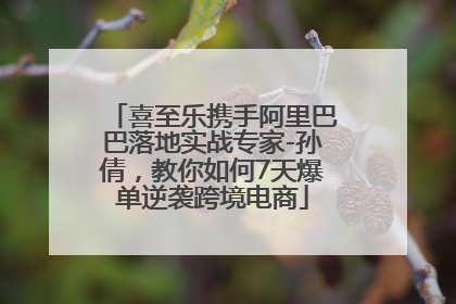 喜至乐携手阿里巴巴落地实战专家-孙倩，教你如何7天爆单逆袭跨境电商