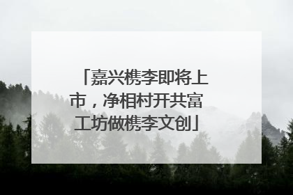 嘉兴槜李即将上市，净相村开共富工坊做槜李文创