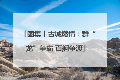 图集丨古城燃情：群“龙”争霸 百舸争渡