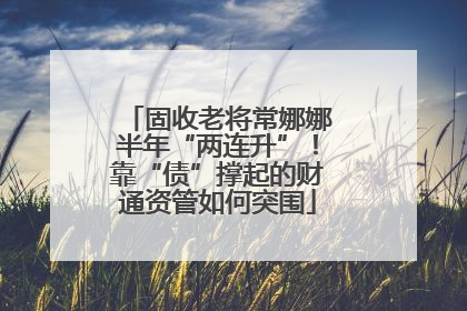 固收老将常娜娜半年“两连升”！靠“债”撑起的财通资管如何突围