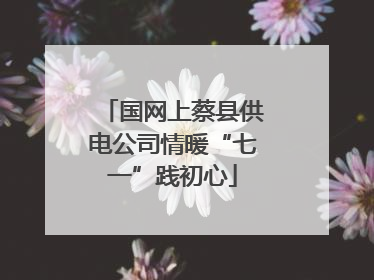 国网上蔡县供电公司情暖“七一”践初心
