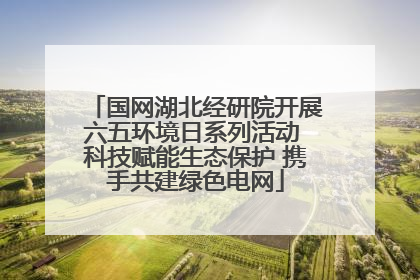 国网湖北经研院开展六五环境日系列活动 科技赋能生态保护 携手共建绿色电网