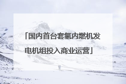 国内首台套氢内燃机发电机组投入商业运营