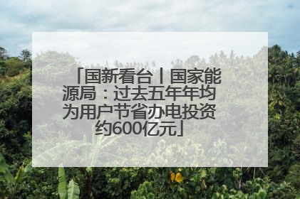 国新看台丨国家能源局：过去五年年均为用户节省办电投资约600亿元